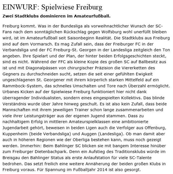 2013 Pressebericht 5