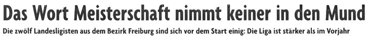 2010-08-06 Pressebericht 1