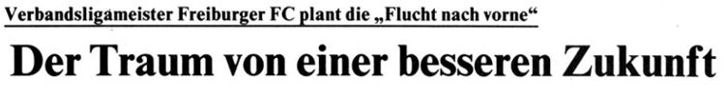 1991 Pressebericht